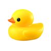 ducksarecoolashell