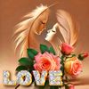 nidal.osman16