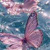 amilya.morris8