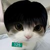 7y27t0