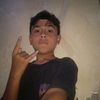rogg_223