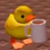 chill.duck0