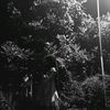aura_manezz