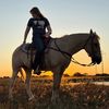 equine.aubrey