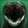 idolo_de_la_titanoboa