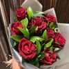 saly_hadi