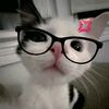 bublixie010