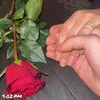 karyan_zrar