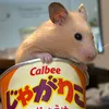 eitarou146