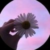 melisa.vile_8