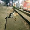 anak.labanan