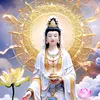 than.lethi82