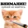 user59317746338005