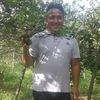 herpulis8