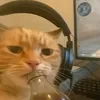 unbanandree1