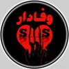 sajjadsaleem338