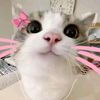 user5467207961008
