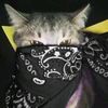 tubbyandemarcha