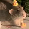 goodycookie21
