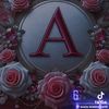 user7410600449497