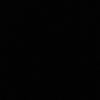 lo_gic2