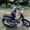 aku.rul.v