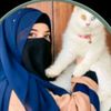 leshoyosafzai