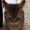 booksgenkit