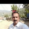 jan.alam800