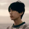 hakushotazalien