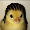 sigmaskitty
