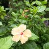 zeshan.ahmed6938