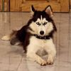 momo_taleb