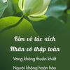 stt cuộc đời
