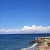 elenalenap888