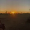 islytoca