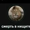 sanceyz0