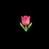 mishkat.mh