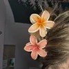 laura__24___
