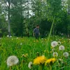 saule7365