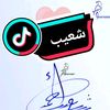chouaib.allab