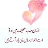 muhammadmubeen30612