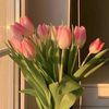 li_mt8