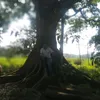 j.carlos.olano