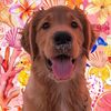 lilysbackup.7