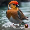 user8888675801042