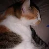 pilarrblanco
