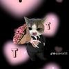 ayatelay620