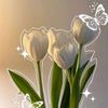 user9790152934256jhnna