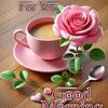 m..m..hossain8